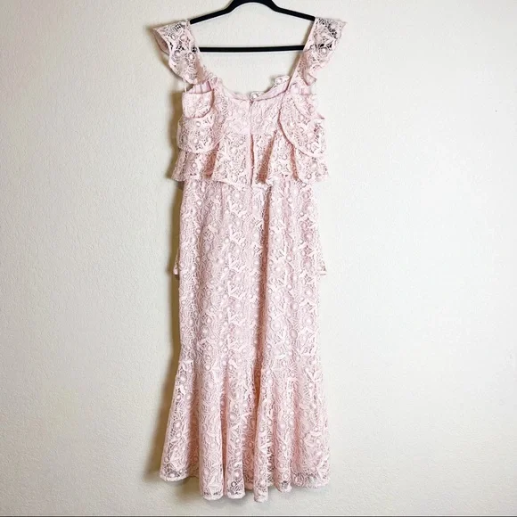 Amur Hayden Lace Midi Dress Blush Pink Size 2 NWT - Picture 7 of 11